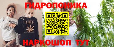 ешки Волгодонск