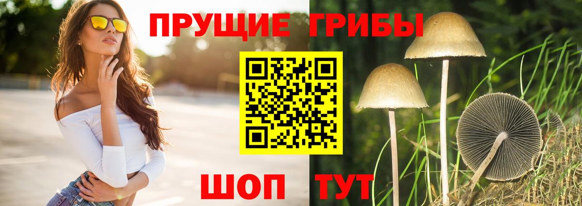 Галлюциногенные грибы мухоморы  Вход с VPN  Назарово 